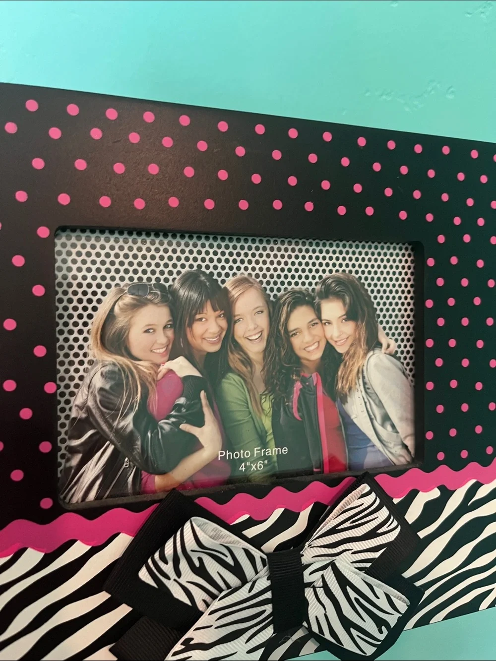 Polka Dot & Zebra Bow Photo Frame - Black, Hot Pink, White